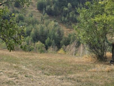 Terenuri de vanzare Plesi imagine mica 4