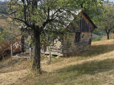 Terenuri de vanzare Plesi imagine mica 6