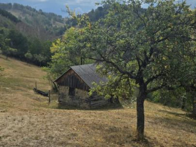 Terenuri de vanzare Plesi imagine mica 10
