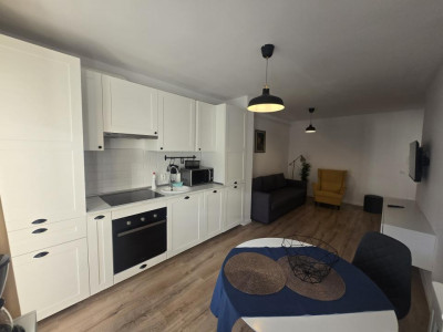Apartamente de inchiriat Sibiu Lazaret imagine mica 9