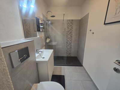 Apartamente de inchiriat Sibiu Lazaret imagine mica 13