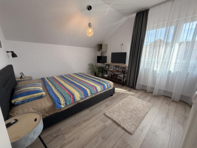 Case de vanzare Sura Mare imagine mica 5