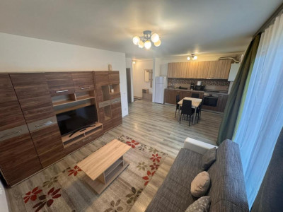 Apartamente de inchiriat Sibiu Lupeni imagine mica 2