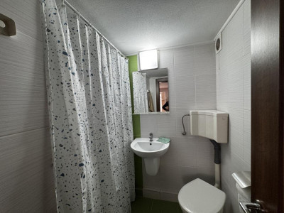 Case de inchiriat Sibiu Lazaret imagine mica 23
