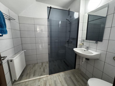 Case de inchiriat Sibiu Lazaret imagine mica 28