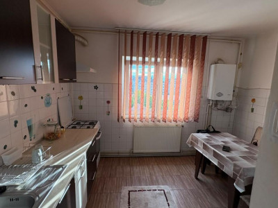 Apartamente de vanzare Sibiu Terezian imagine mica 3