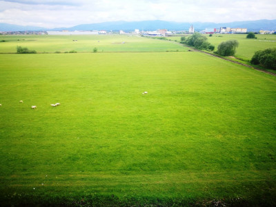 Apartamente de inchiriat Sibiu Calea Surii Mici imagine mica 11
