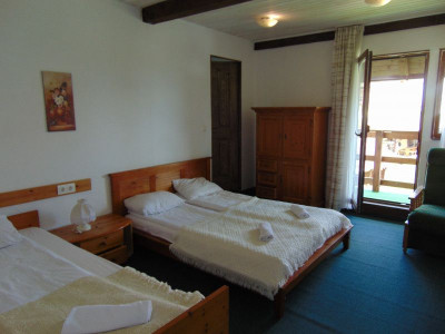 Hoteluri de vanzare Paltinis imagine mica 3