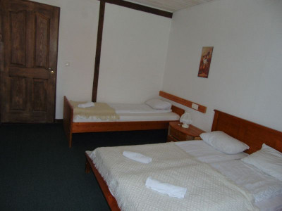 Hoteluri de vanzare Paltinis imagine mica 8