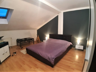 Apartamente de vanzare Sibiu Lazaret imagine mica 3