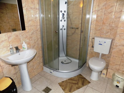 Spatii comerciale de vanzare Sura Mica imagine mica 24