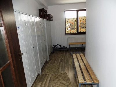 Spatii comerciale de vanzare Sura Mica imagine mica 26
