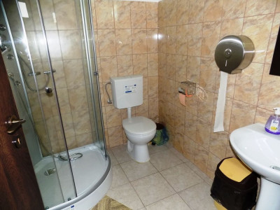 Spatii comerciale de vanzare Sura Mica imagine mica 28