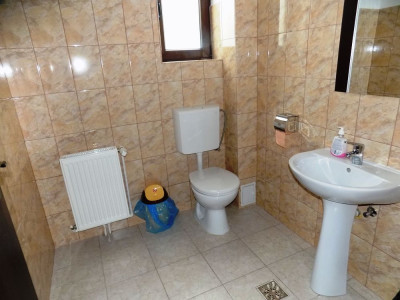 Spatii comerciale de vanzare Sura Mica imagine mica 30