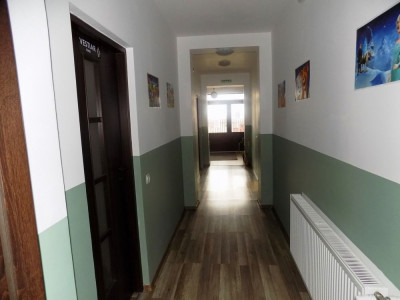 Spatii comerciale de vanzare Sura Mica imagine mica 31