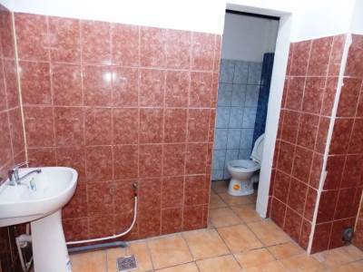 Spatii comerciale de inchiriat Sibiu Mihai Viteazul imagine mica 16