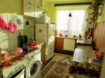 Apartamente de vanzare Sibiu Terezian imagine mica 4