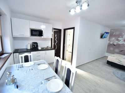 Case de inchiriat Sibiu Tineretului imagine mica 34