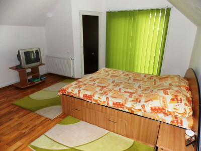 Case de vanzare Sibiu Tilisca imagine mica 8