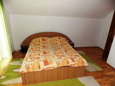 Case de vanzare Sibiu Tilisca imagine mica 11