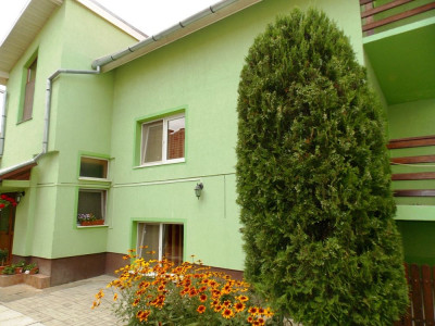 Case de vanzare Sibiu Tilisca imagine mica 29