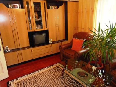 Case de vanzare Sibiu Tilisca imagine mica 33