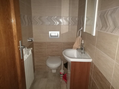 Case de inchiriat Sibiu Orasul de Jos imagine mica 23