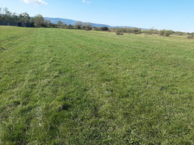 Terenuri de vanzare Sibiu Selimbar imagine mica 3