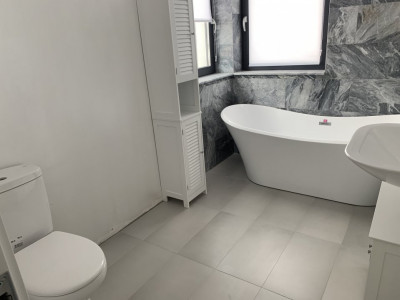 Case de vanzare Sibiu Turnisor imagine mica 28