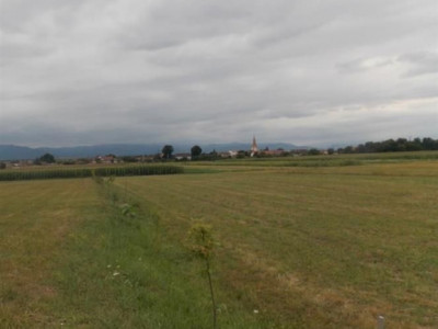 Terenuri de vanzare Sibiu Selimbar imagine mica 2