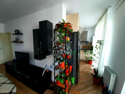 Apartamente de vanzare Sibiu Selimbar imagine mica 5