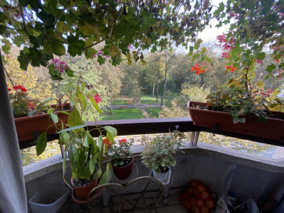 Apartamente de vanzare Sibiu Sub Arini imagine mica 11